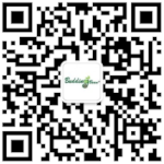 WeChat Kiwi QR Code